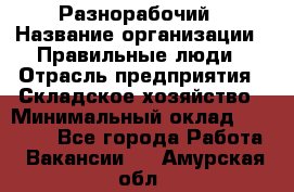 Разнорабочий › Название организации ­ Правильные люди › Отрасль предприятия ­ Складское хозяйство › Минимальный оклад ­ 28 000 - Все города Работа » Вакансии   . Амурская обл.